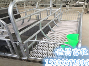 母豬產(chǎn)床特點(diǎn)介紹