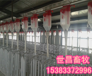 豬用自動(dòng)供料系統(tǒng)