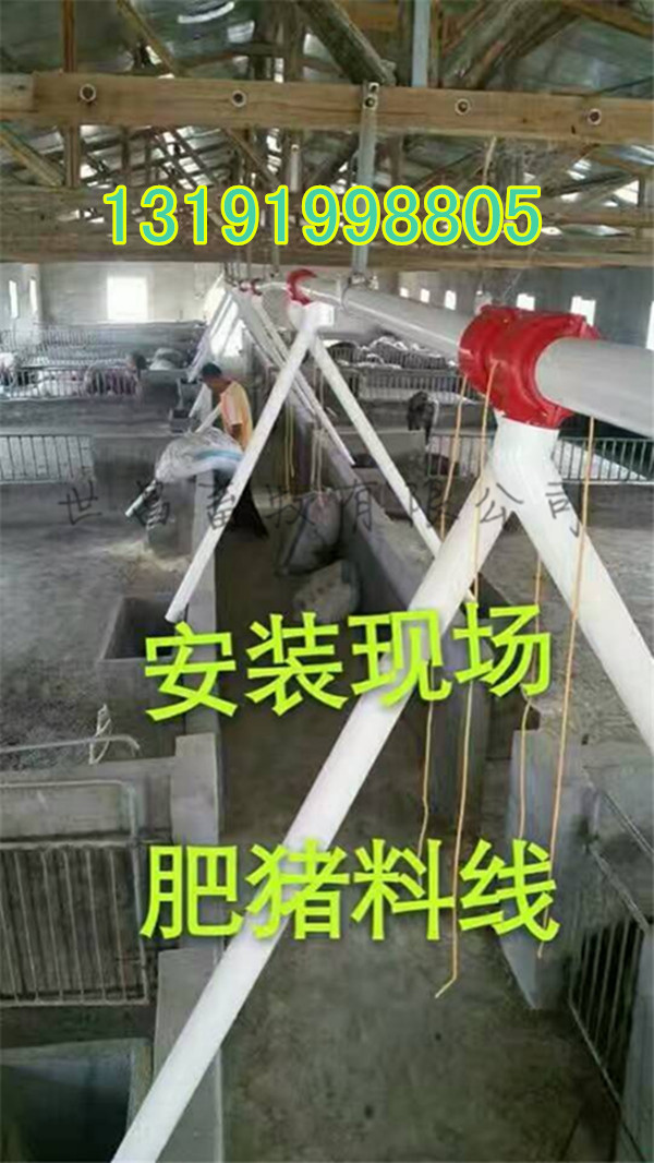 豬用料線設(shè)計廠家
