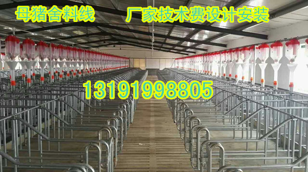 豬場自動化上料系統(tǒng)