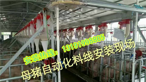 自動化下料系統(tǒng)