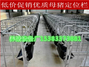 定位欄單體欄喂養(yǎng)豬設(shè)備廠家直銷