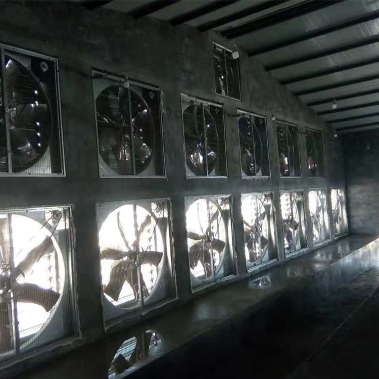 養(yǎng)殖場重錘風(fēng)機(jī)